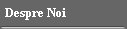 Despre Noi