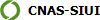  CNAS-SIUI 
